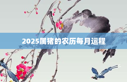 2025属猪的农历每月运程
