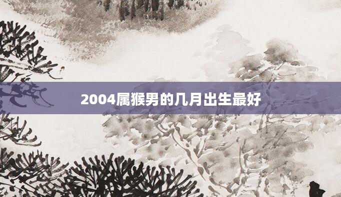 2004属猴男的几月出生最好