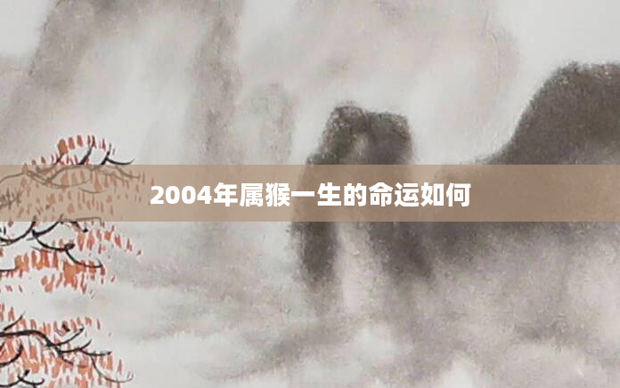 2004年属猴一生的命运如何