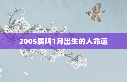2005属鸡1月出生的人命运