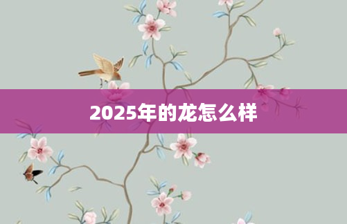 2025年的龙怎么样