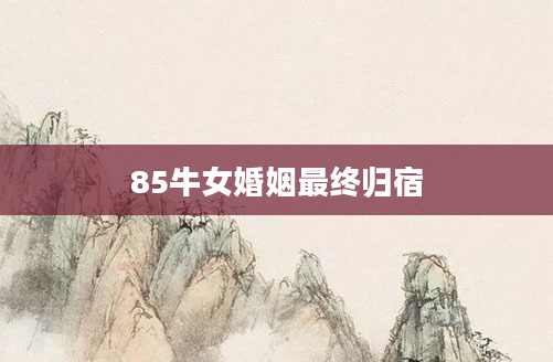 85牛女婚姻最终归宿