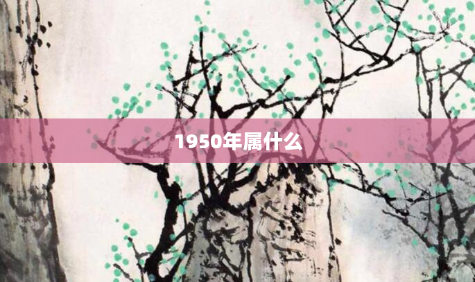1950年属什么