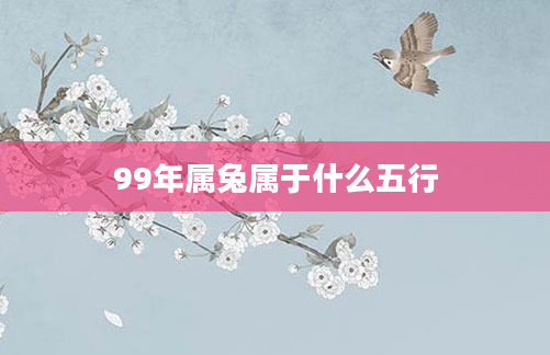 99年属兔属于什么五行