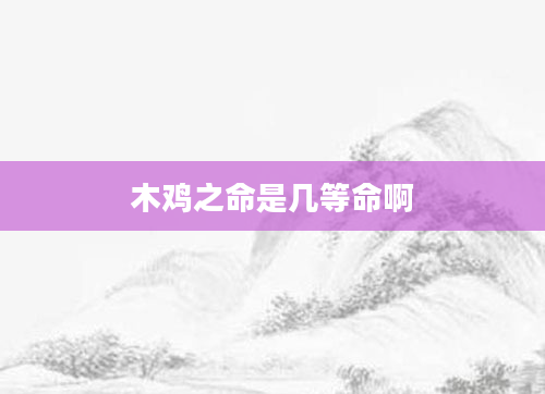 木鸡之命是几等命啊