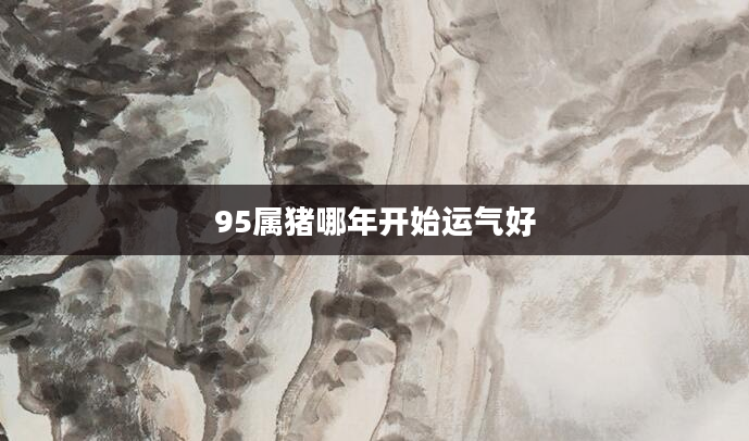 95属猪哪年开始运气好