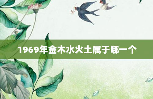 1969年金木水火土属于哪一个