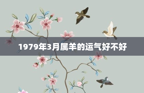 1979年3月属羊的运气好不好