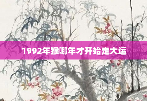 1992年猴哪年才开始走大运