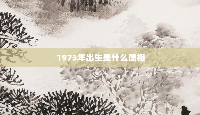 1973年出生是什么属相