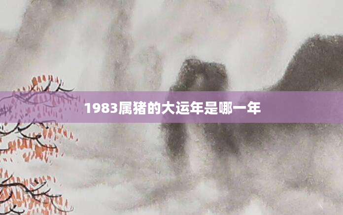 1983属猪的大运年是哪一年