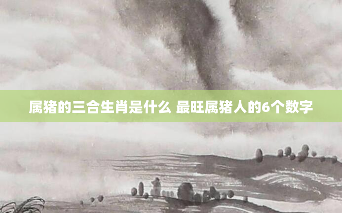 属猪的三合生肖是什么 最旺属猪人的6个数字