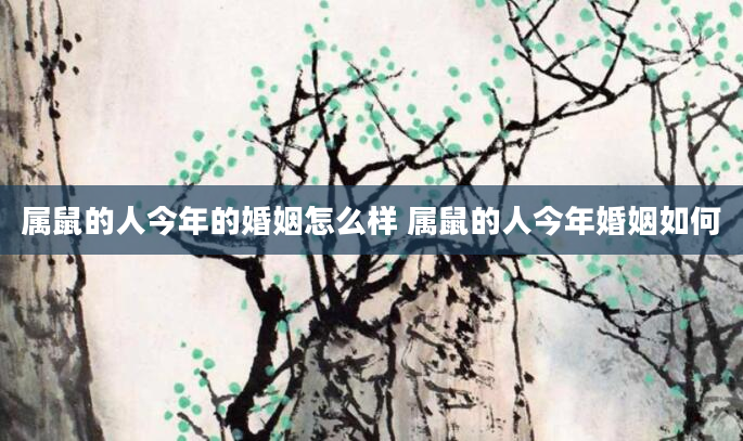 属鼠的人今年的婚姻怎么样 属鼠的人今年婚姻如何