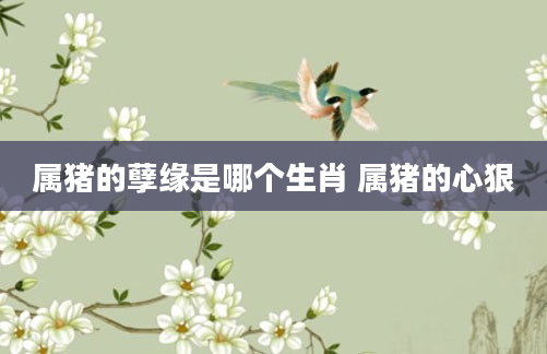 属猪的孽缘是哪个生肖 属猪的心狠