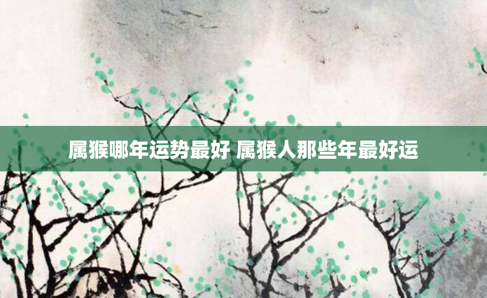 属猴哪年运势最好 属猴人那些年最好运