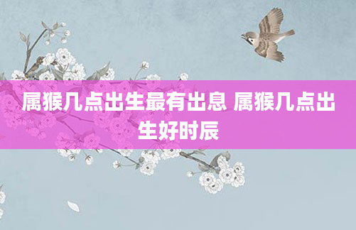 属猴几点出生最有出息 属猴几点出生好时辰