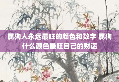 属狗人永远最旺的颜色和数字 属狗什么颜色最旺自己的财运