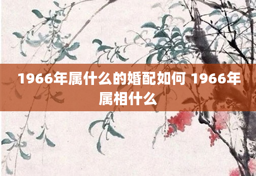1966年属什么的婚配如何 1966年属相什么