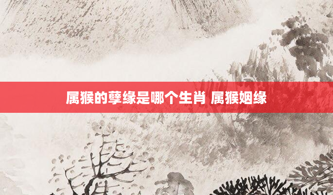 属猴的孽缘是哪个生肖 属猴姻缘