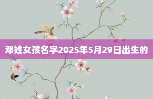 邓姓女孩名字2025年5月29日出生的