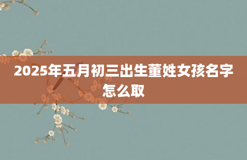 2025年五月初三出生董姓女孩名字怎么取