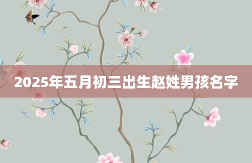2025年五月初三出生赵姓男孩名字
