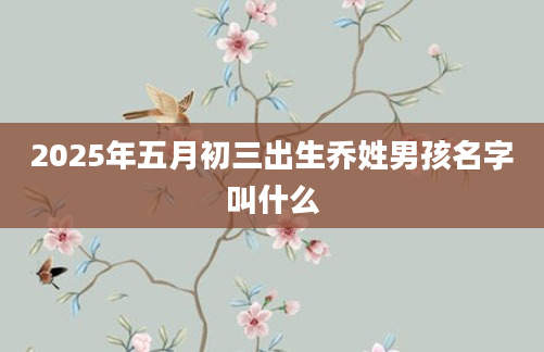 2025年五月初三出生乔姓男孩名字叫什么