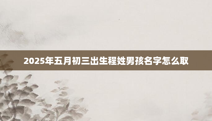 2025年五月初三出生程姓男孩名字怎么取