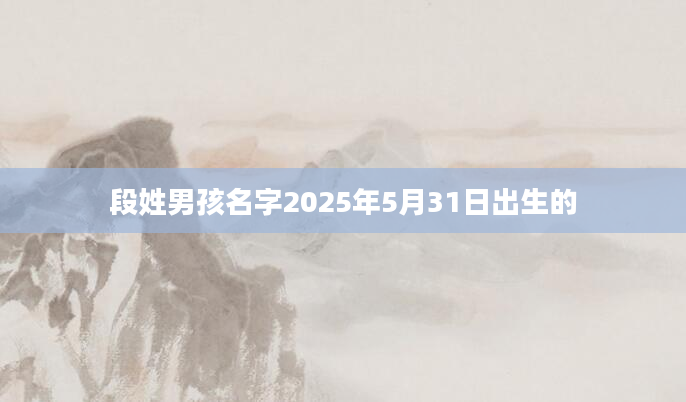 段姓男孩名字2025年5月31日出生的