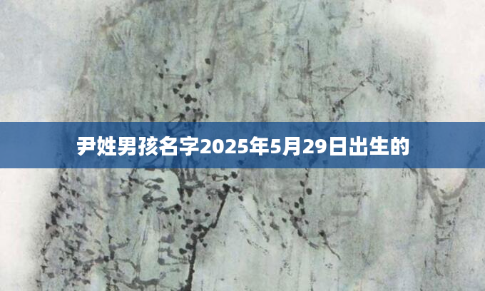 尹姓男孩名字2025年5月29日出生的