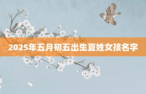 2025年五月初五出生夏姓女孩名字
