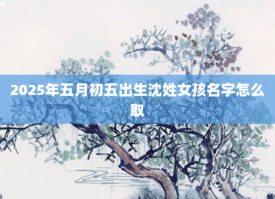 2025年五月初五出生沈姓女孩名字怎么取