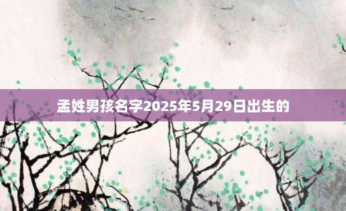 孟姓男孩名字2025年5月29日出生的