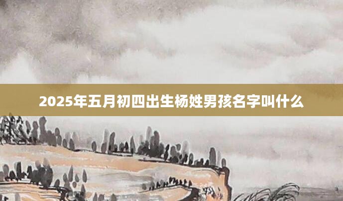2025年五月初四出生杨姓男孩名字叫什么