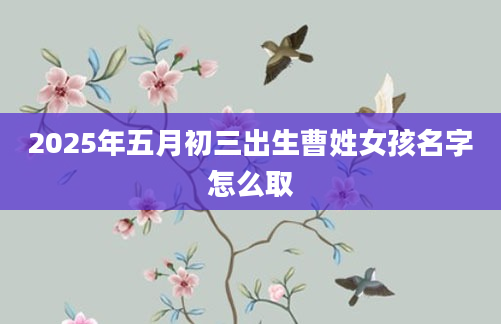 2025年五月初三出生曹姓女孩名字怎么取
