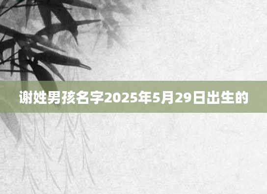 谢姓男孩名字2025年5月29日出生的