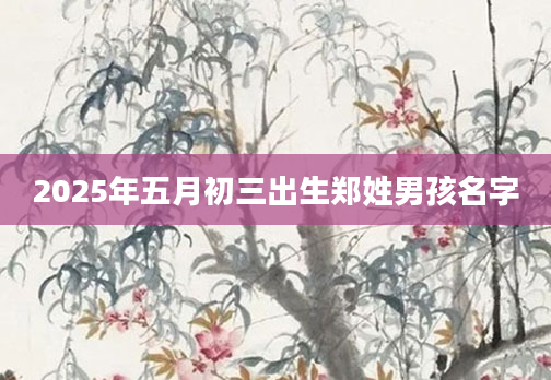 2025年五月初三出生郑姓男孩名字