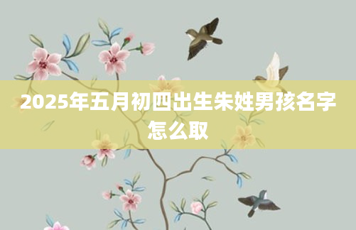 2025年五月初四出生朱姓男孩名字怎么取