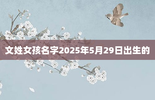 文姓女孩名字2025年5月29日出生的