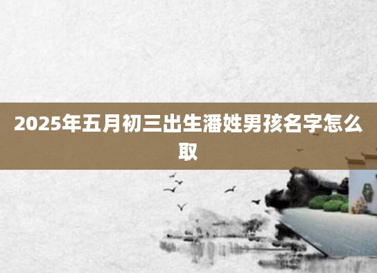 2025年五月初三出生潘姓男孩名字怎么取