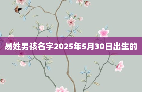 易姓男孩名字2025年5月30日出生的