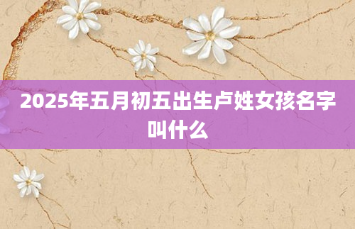 2025年五月初五出生卢姓女孩名字叫什么