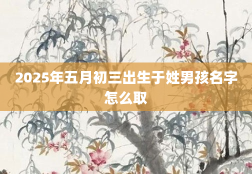 2025年五月初三出生于姓男孩名字怎么取