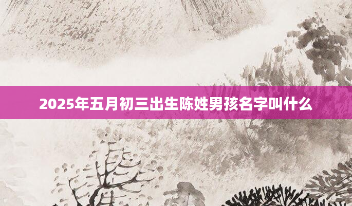 2025年五月初三出生陈姓男孩名字叫什么