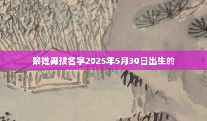 黎姓男孩名字2025年5月30日出生的