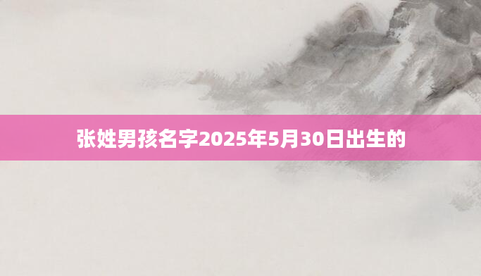 张姓男孩名字2025年5月30日出生的