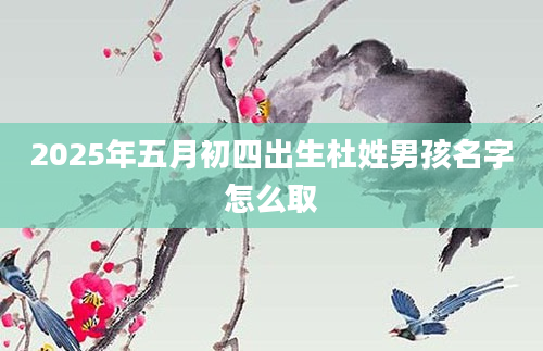 2025年五月初四出生杜姓男孩名字怎么取