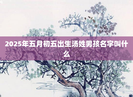 2025年五月初五出生汤姓男孩名字叫什么