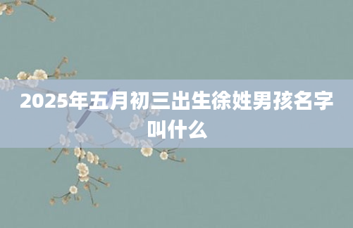 2025年五月初三出生徐姓男孩名字叫什么