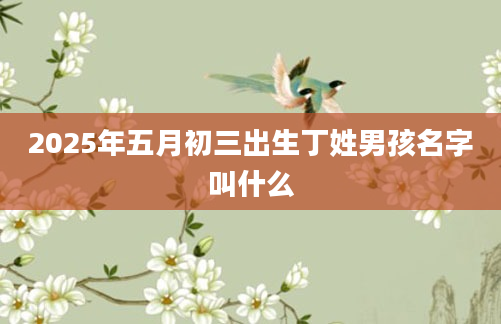 2025年五月初三出生丁姓男孩名字叫什么